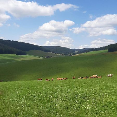 Haus Zum Sternen Lejlighed Vöhrenbach Eksteriør billede