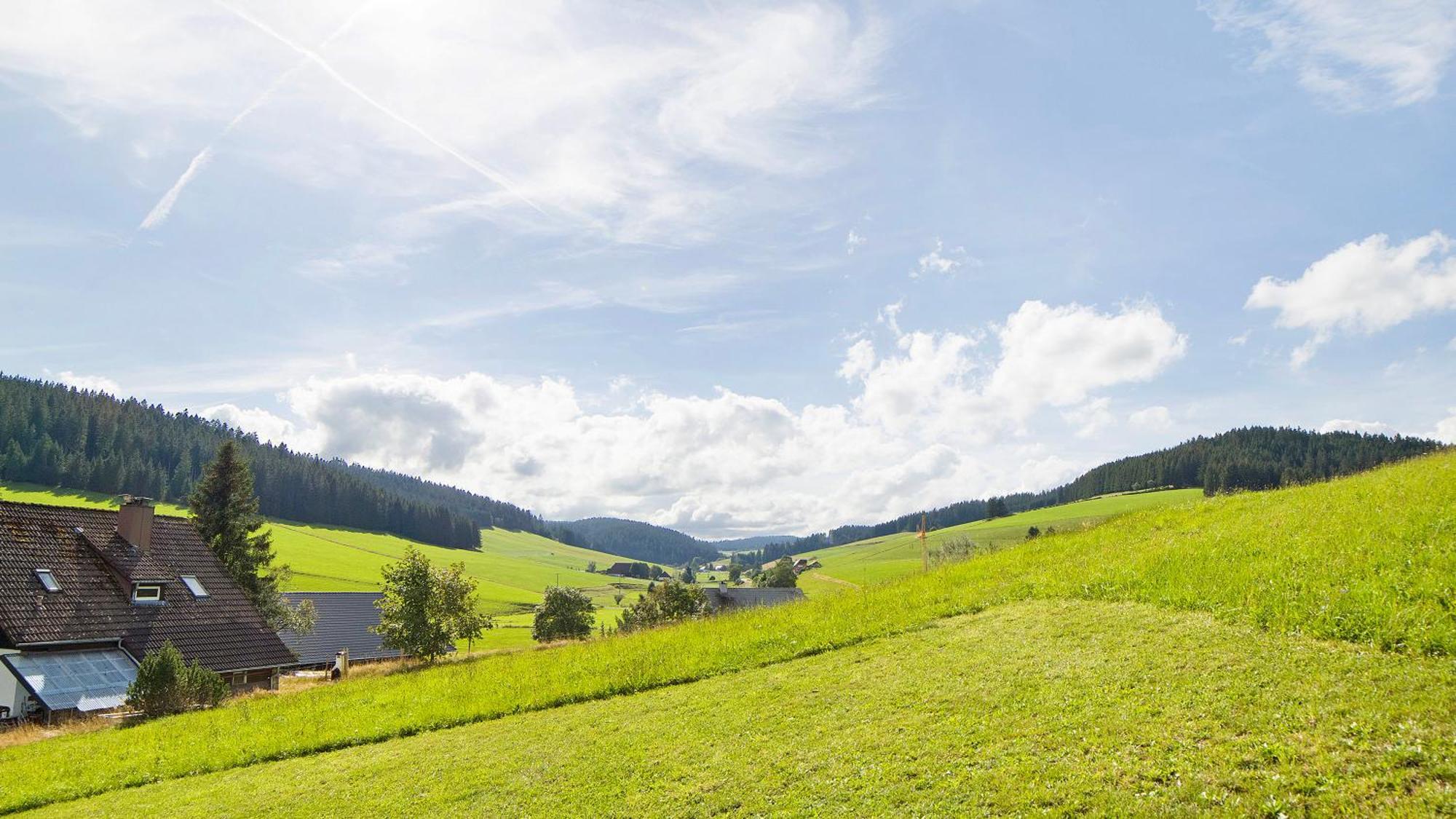 Haus Zum Sternen Lejlighed Vöhrenbach Eksteriør billede