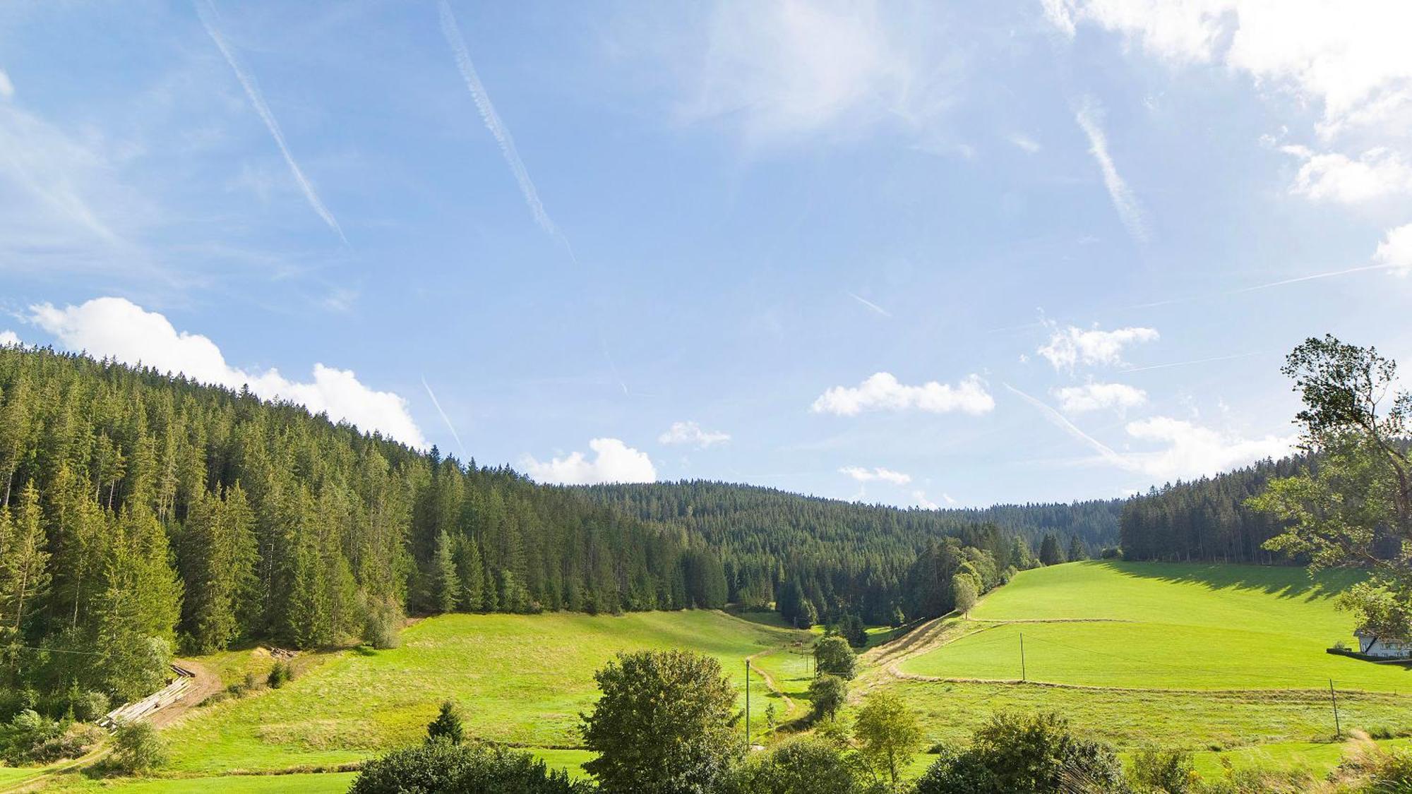 Haus Zum Sternen Lejlighed Vöhrenbach Eksteriør billede
